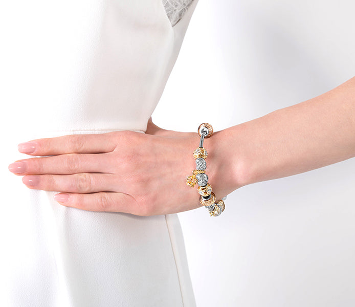 Charm Bracelet with Mixed Metal Charms on Solid Ba